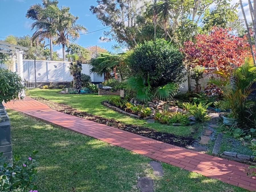 To Let 3 Bedroom Property for Rent in Selborne Eastern Cape